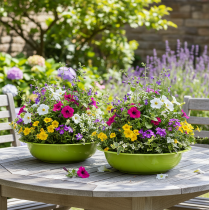 Artikel Planteringsbricka för attraktiv växtdekoration i vardagsrummet, 29 cm, 2 stycken