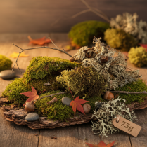 Artikel Dekorativ mossa för pyssel, blandad grön och ljusgrön naturlig mossa, 75 g