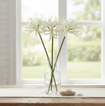 Artikel Nerine Guernsey Lily Konstblomma Vit Gul Ø15cm L65cm