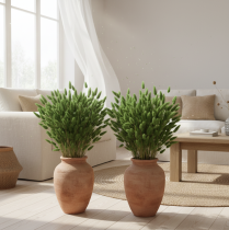 Artikel Torkad Lagurus (Harstjärtgräs) 65-70 cm 100 g