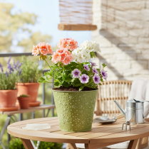 Artikel Metallkruka, planteringslåda, stjärnor, grön och silver, Ø16 cm