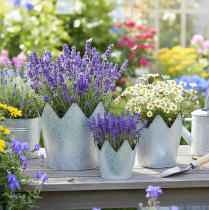 Artikel Blomkruka metall dekorativ zink Ø21,5/19,5/17cm set om 3