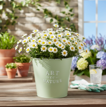 Artikel Blomkruka i zink, metallkruka, mintgrön, Ø22cm, H21cm