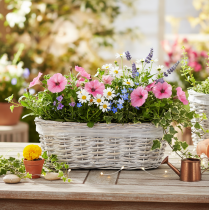 Artikel Korgplanter med folieinsats, oval, vit, 37 cm
