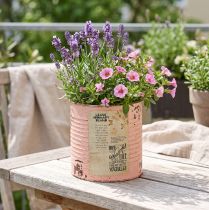 Artikel Blomkruka dekorativ burk laxfärgad metall sommardekoration Ø11cm H10.5cm