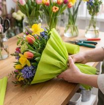 Artikel Florist crepepapper maj grönt 50x250cm
