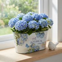 Artikel Blomskål oval hortensia plastskål 21,5×12,5cm H11cm