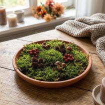 Artikel Keramikunderlägg, fat terrakottalera Ø14,5cm
