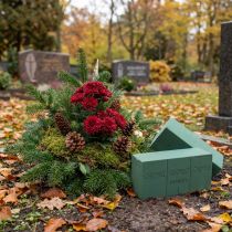 Artikel OASIS® plugg moss maxlife standard 20 tegelstenar