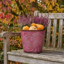 Artikel Planteringskärl, metallhink med löv, höstdekoration vinröd Ø18cm H17cm