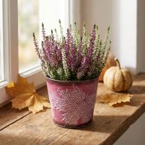 Artikel Dekorativ kruka för plantering, plåthink, metalldekoration med bladmönster vinröd Ø14cm H12,5cm