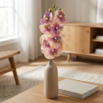 Artikel Orkidé Phalaenopsis konstgjord 7 blommor lila kräm 73cm