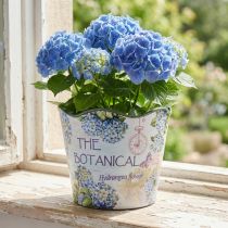 Artikel Planteringskruka plastblomkruka sommarhortensior Ø16,5cm H13,5cm