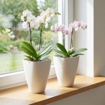 Artikel Plastblomkruka, orkidékruka, vit, 16,5 cm hög, 2 stycken