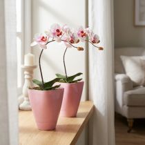 Artikel Blomkruka, plastvas, orkidékruka, rosa, 16,5 cm hög, 2 stycken