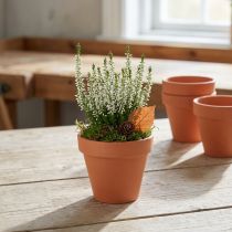 Artikel Blomkruka lera Ø8cm hög 7cm 10st