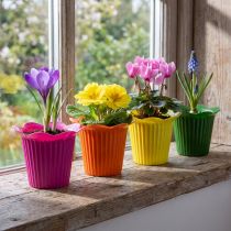 Artikel Plastkruka med blommotiv Ø9cm 25 st