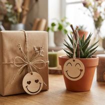 Artikel Trähänge Emoticon Emoticon® Ø4cm natur 24 st