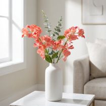 Artikel Orkidé Mokara Lax 50cm 6 st