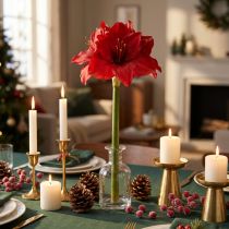 Artikel Konstgjord Amaryllis Julblommor Röda Konstgjorda Blommor L40cm