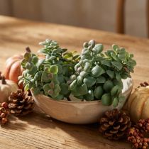Artikel Konstgjorda eukalyptus konstgjorda växter för stickning 18cm 4st