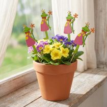 Artikel Blomplugg groda kung dekorativ plugg trä 8cm 12 st