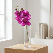 Artikel Orkidé Artificiell Phalaenopsis 4 blommor Fuchsia 72cm