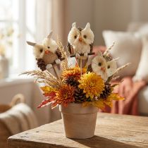 Artikel Uggla dekorativa blomproppar höstdekoration natur Ø4cm H8cm 4st