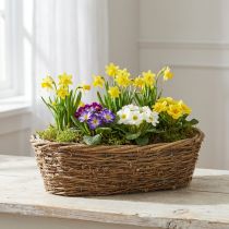Artikel Naturlig planteringskruka av vinstockar, oval blomkruka, 40x19x11,5 cm