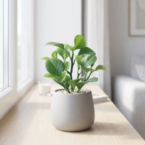 Artikel Konstgjord grön växt suckulent konstgrön H14cm