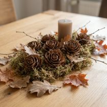 Artikel Koner av cederträ skurna som en rosencederros 4-6cm naturell 50 st