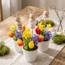 Artikel Blompinne Kanin Trä Natur, Brun, Vit L32cm 8 st