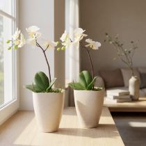 Artikel Orkidékruka, blomkruka, plast, beige melerad, 13,5x13 cm, H16,5 cm, 2 stycken