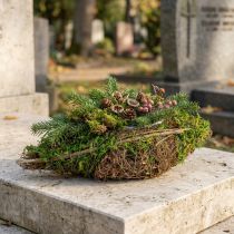 Artikel Plantering av båtrankor och mossplanteringsskål 31×17×6 cm
