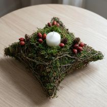 Artikel Växtkudde vinrankor mossa växtskål naturlig 20×20×6,5 cm