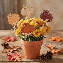 Artikel Blompluggar trä pumpa dekoration orange natur 6,5x7cm 12 st