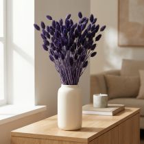 Artikel Phalaris violett torkat dekorativt gräs 50-55cm 100g