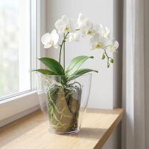 Artikel Orkidékruka blank Ø12,5cm transparent 1 st