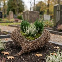 Artikel Växtskål hjärta kyrkogård, vinranka hjärta för plantering 26cm