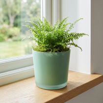 Artikel Blomkruka i glas grön plantering glasbalja Ø11,5cm H11cm