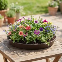 Artikel Planteringsring "Rondino" Ø35-55cm, 1 st