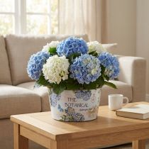 Artikel Planteringskruka hortensior blomskål rund plast Ø21cm H11cm