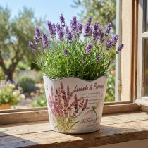 Artikel Planteringskruka plast lavendel blomkruka Ø13,5cm H12cm