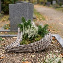Artikel Växthjärta Rotting Vine Naturvit 20cmx24cmx6cm