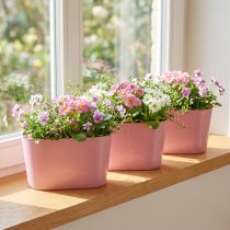 Artikel Växtskål oval rosa dekorationsskål plast 20×10×11cm 3st