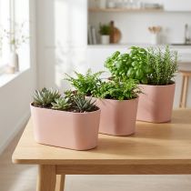 Artikel Växtskål oval dekorationsskål plast rosa brun 20×10×11cm 3st