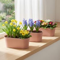 Artikel Växtskål oval dekorationsskål plast rosa brun 27×11×10cm 3st