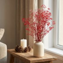 Artikel Gypsophila Gypsophila Torkade Blommor Röda 50cm 55g