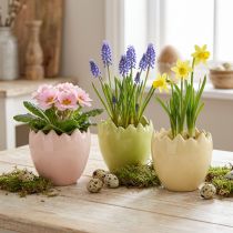 Artikel Äggformad blomkruka med bruten kant för kreativ placering på fönsterbrädor och bord, 9 cm, 3 stycken