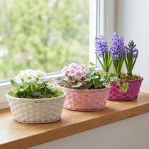 Artikel Chipkorg rund lila/vit/rosa Ø25cm 6 st